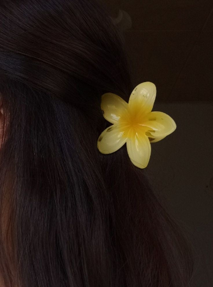 Hair Pins