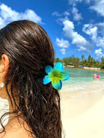 Hair Pins